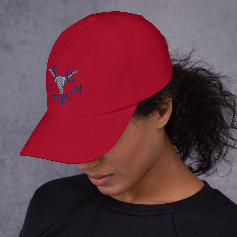 Thumbnail: Dad hat BB
