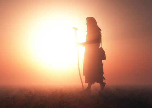 istockphoto-1371027207-170667a