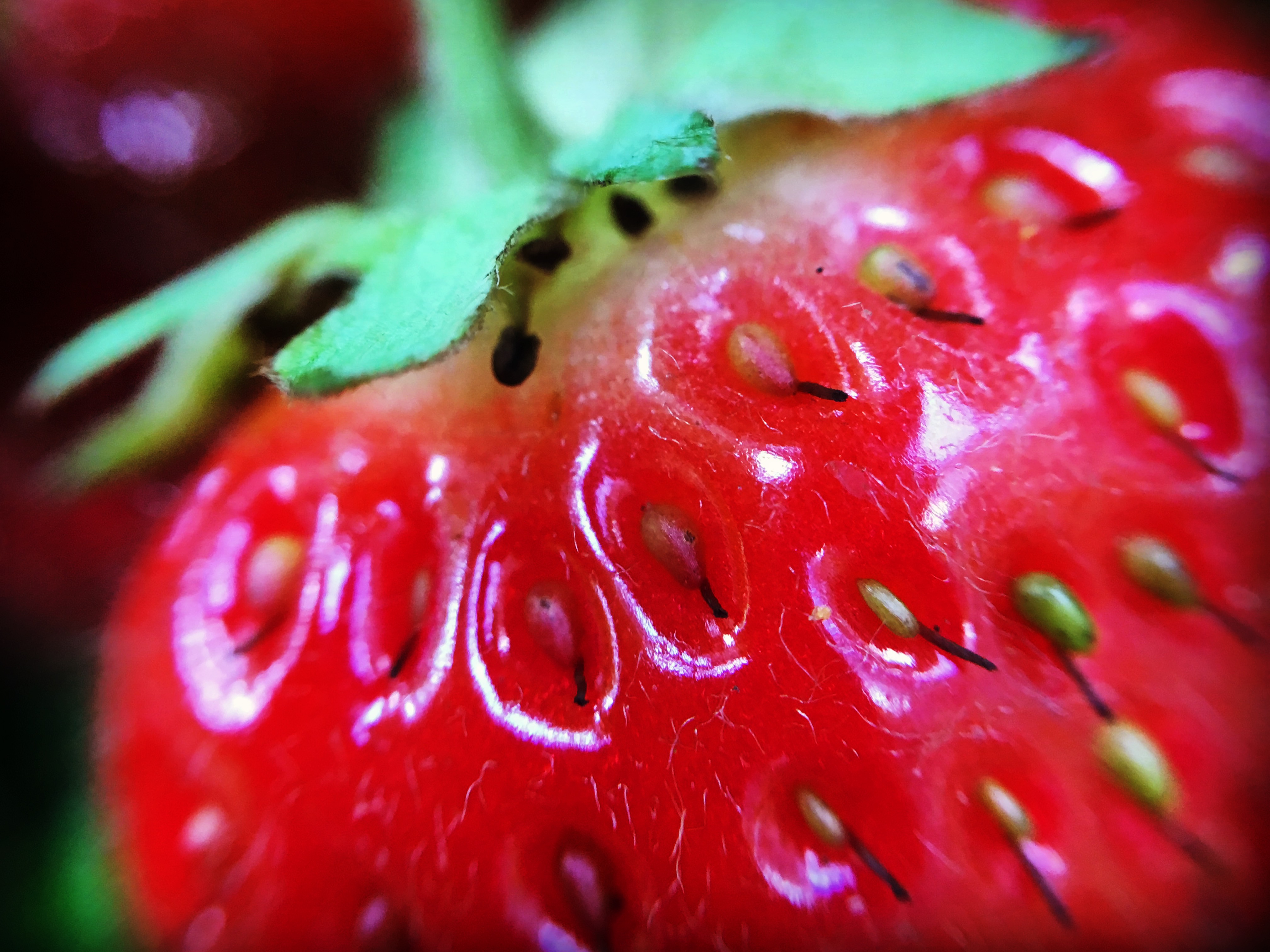 Strawberry