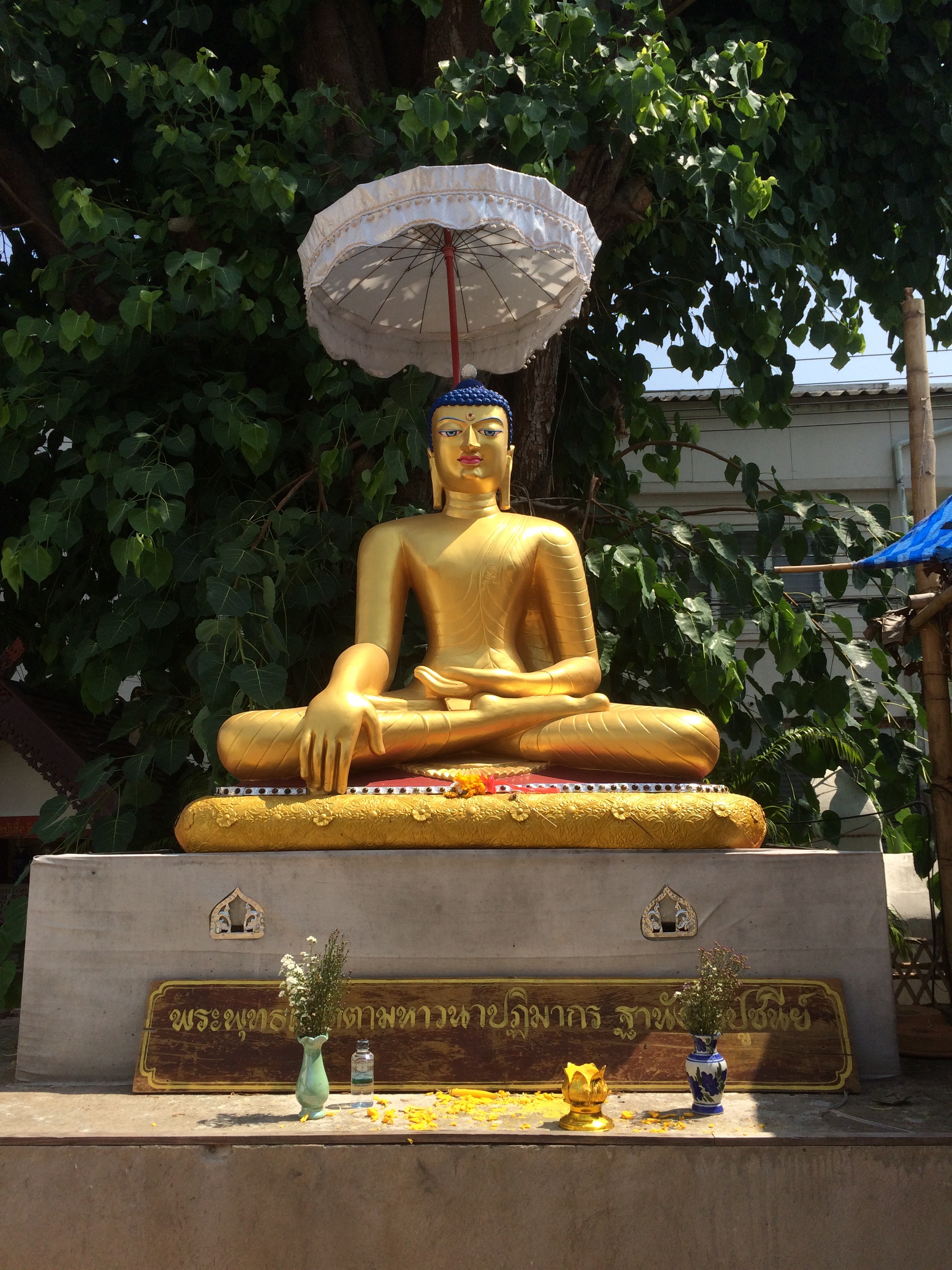 Chiang Mai