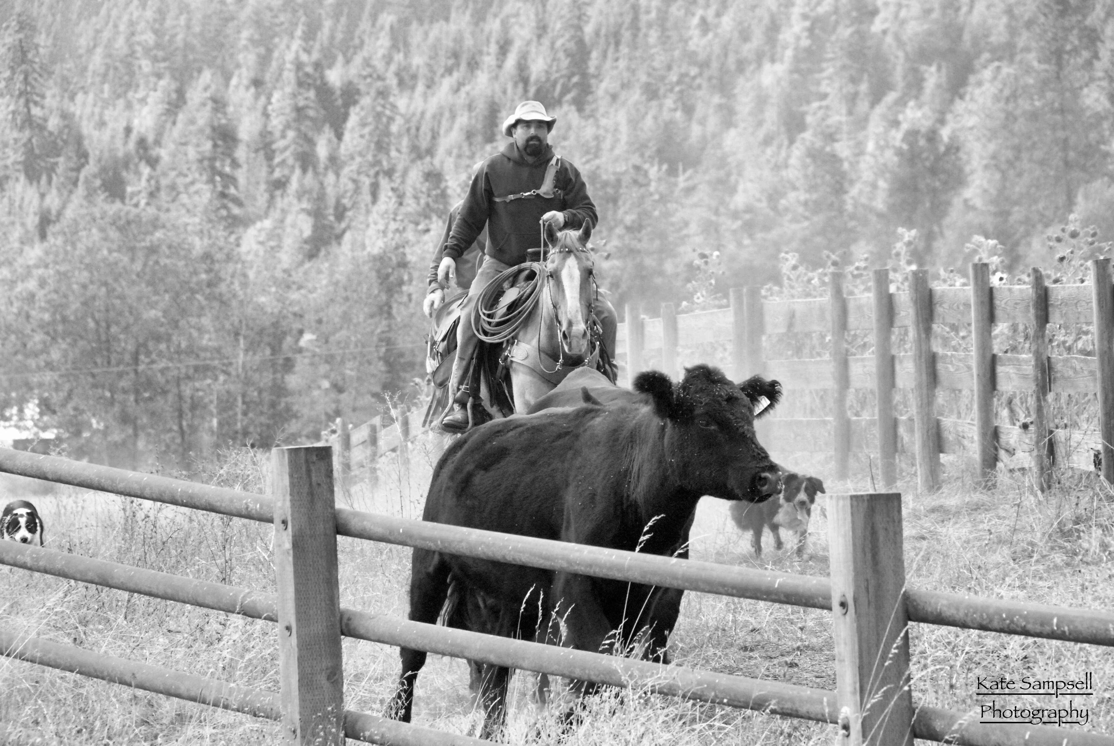 Ranching