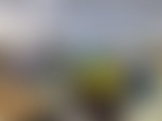 Cesta básica custa mais de 60% do salário mínimo em Boa Vista e moradores reclamam: 'desesperador'