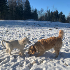 Juchu der erste Schnee!