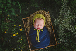 focení miminek Krnov