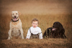 fotografování dětí v Opavě