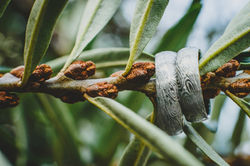 svatební fotograf z Opavy