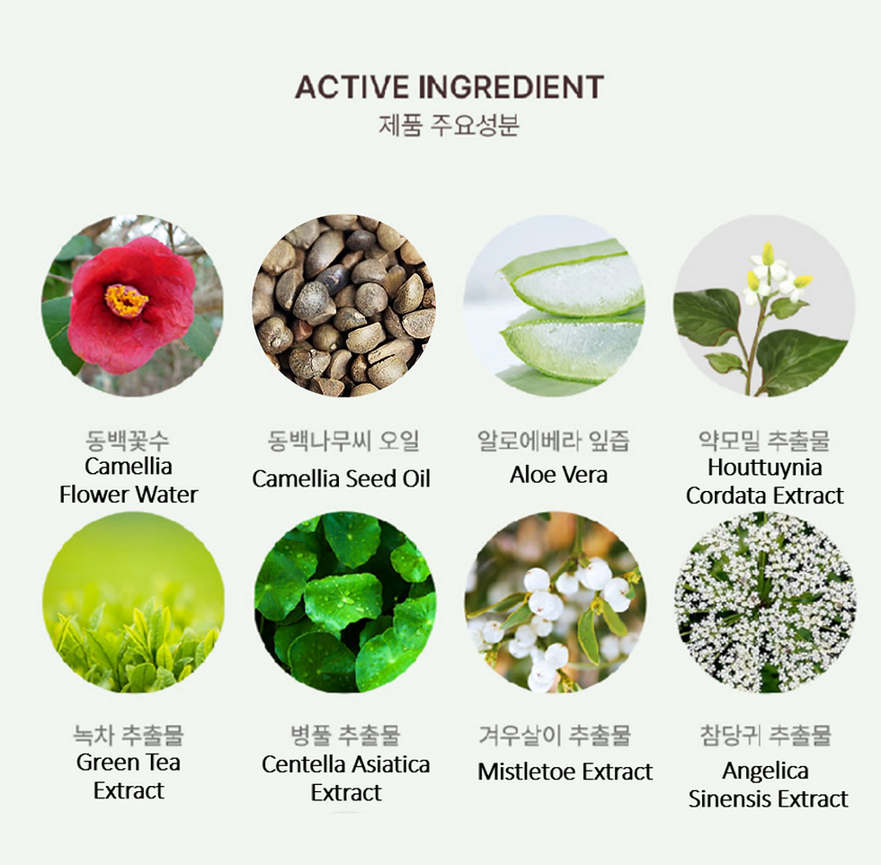 섬네일: 파크스 동백 보습 크림 220ml 