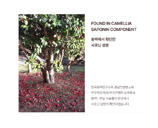 섬네일: 동백꽃 수 (미스트) 70ml 