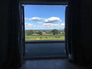 view.JPG