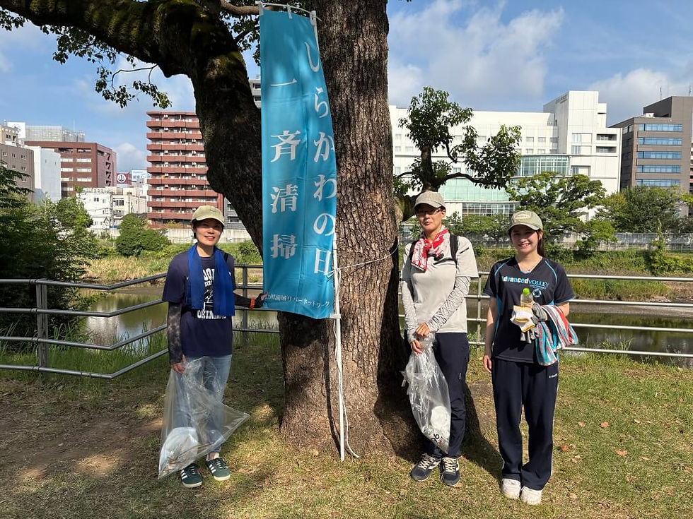 白川会場