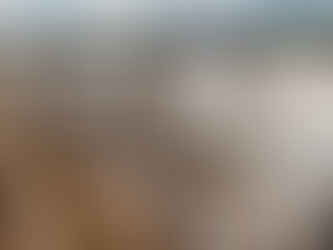 ¿Puede Sudamérica influir en la orientación del derecho de la UE? El caso del acuerdo UE-Mercosur y el bienestar animal