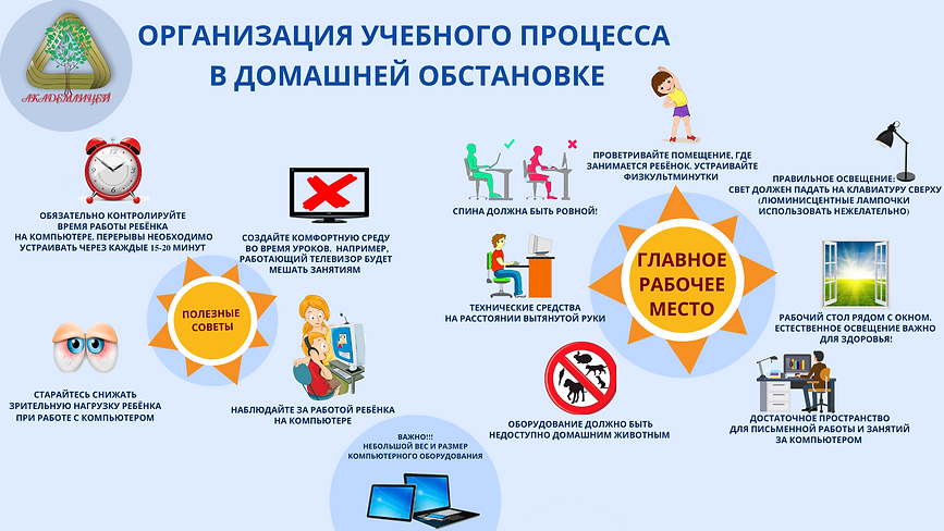 Организация учебного процесса в домашних
