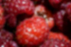 Close up raspberries