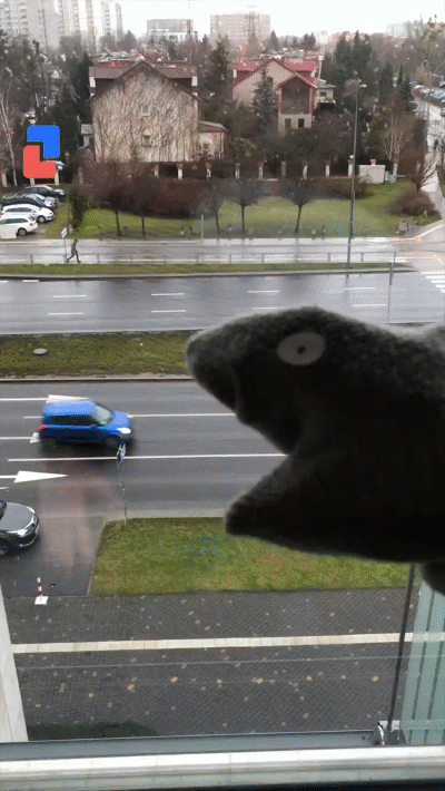 gif5.gif