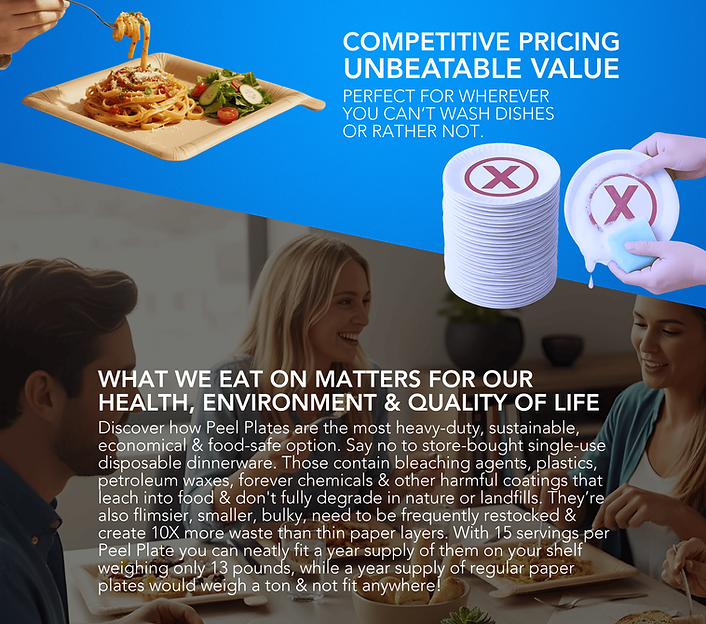 source file.ai - 2025-10-26T214054.006.png