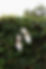 1G5A5897.jpg