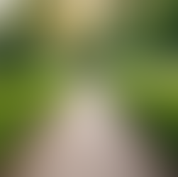 Außenanlagenwartung und Pflege: Die Bedeutung von gepflegten Außenanlagen