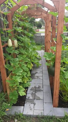gardening
lattice
pathway
stone work