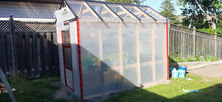 greenhouse
gardening