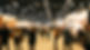 AdobeStock_1042856645.jpeg
