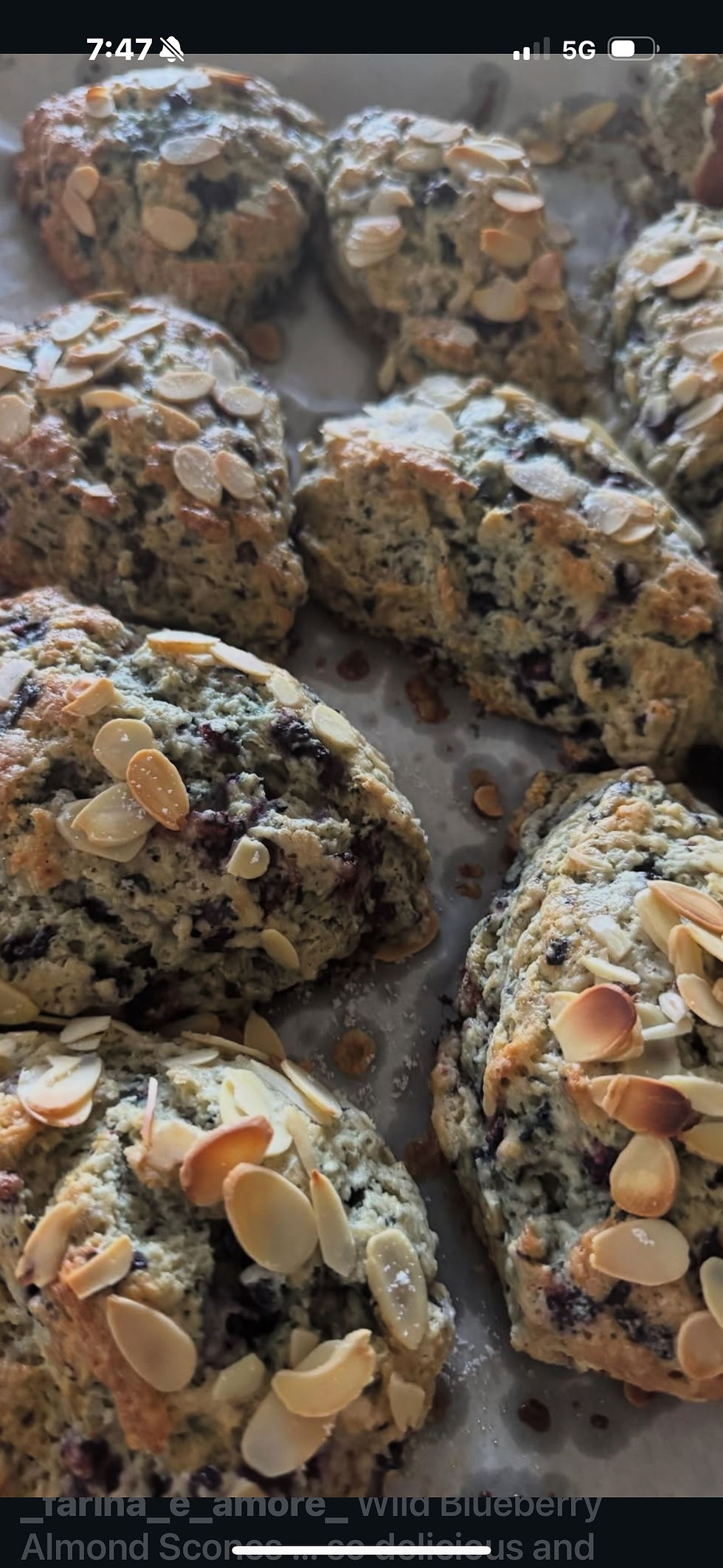 Blueberry Almond Scones - 6