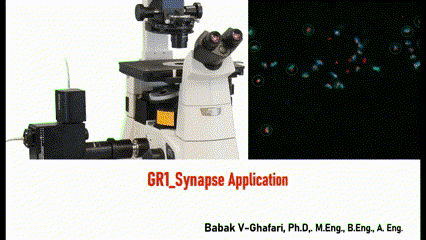GR1-Synapse-LinkedIn-gif.gif