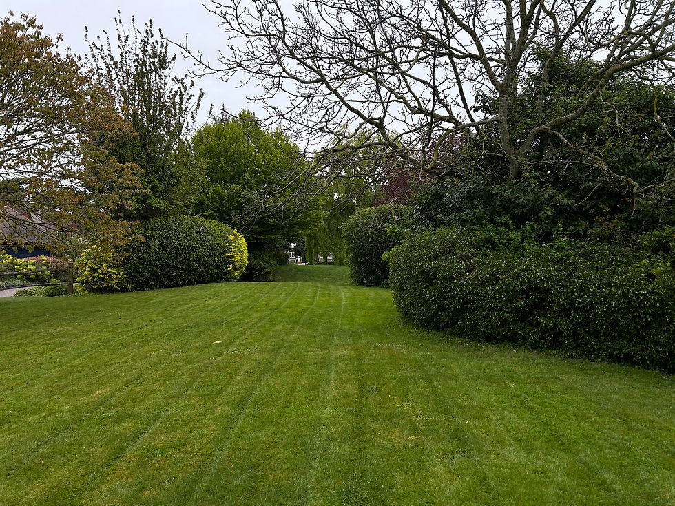 Lawn mowing