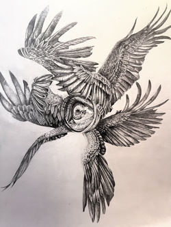 324185451_1778564885876718_7085807358046401773_n