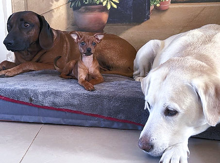 fb5abbda-0e22-4dfc-a925-3bb20b5d8d4c_edi