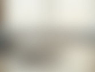 Maximize Your Business Sale Potential with Bailey and Bailey