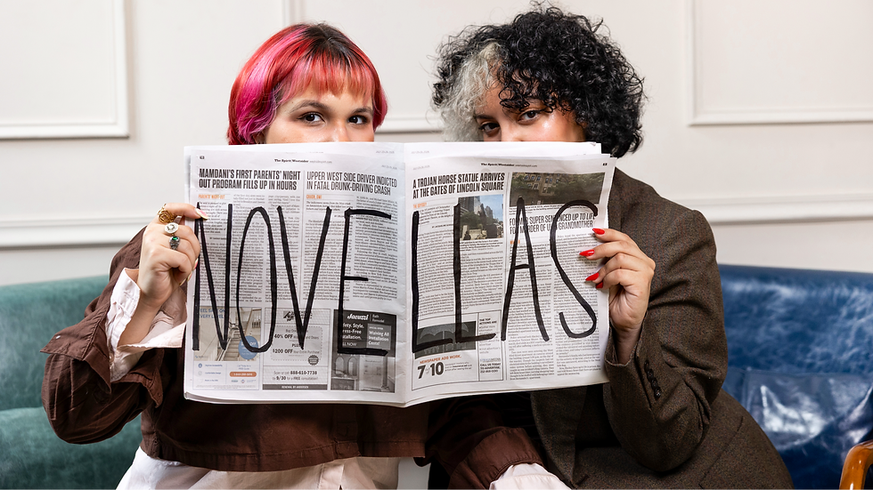 Novellas: Diaries in Motion
