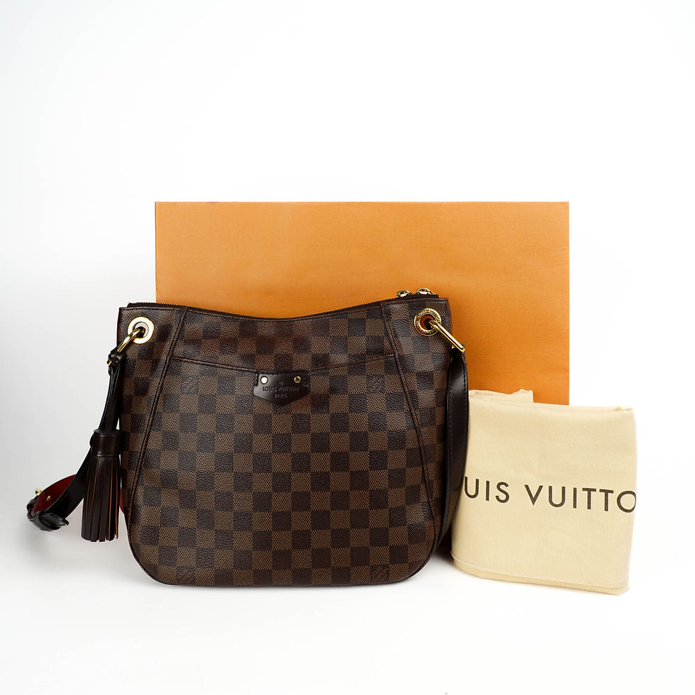 ภาพขนาดย่อ: Louis Vuitton  South Bank Besace Damire Bag