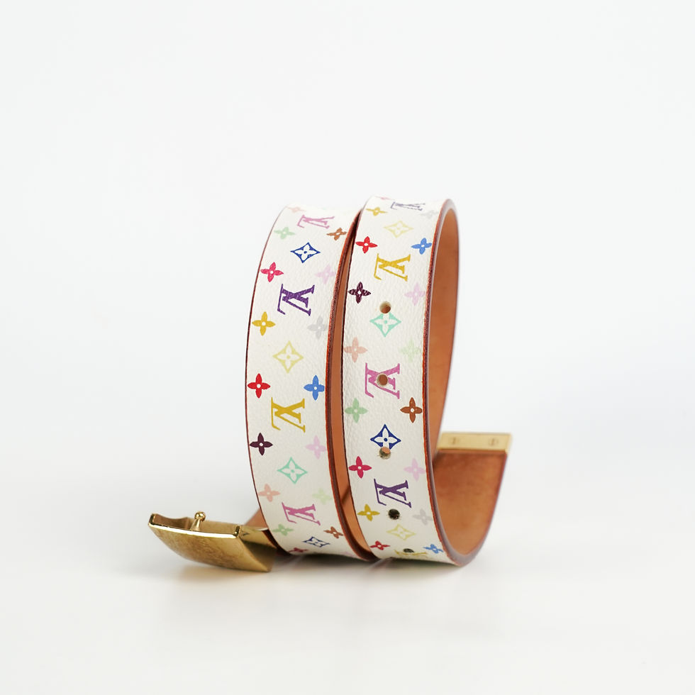 ภาพขนาดย่อ: Louis Vuitton  Belt Multicolor GHW