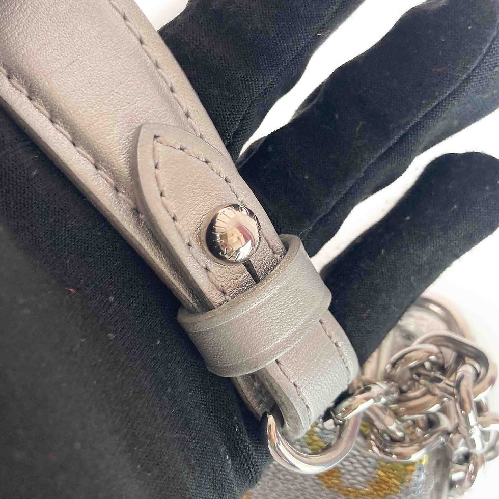 ภาพขนาดย่อ: LOUIS VUITTON  Sequins Monogram Twist Shoulder Bag