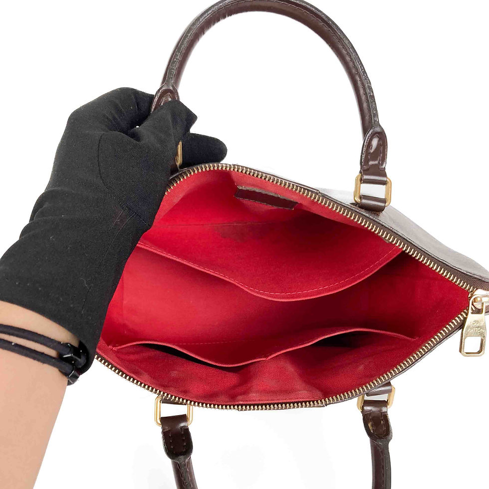 ภาพขนาดย่อ: Louis Vuitton  Siena PM Damier Bag