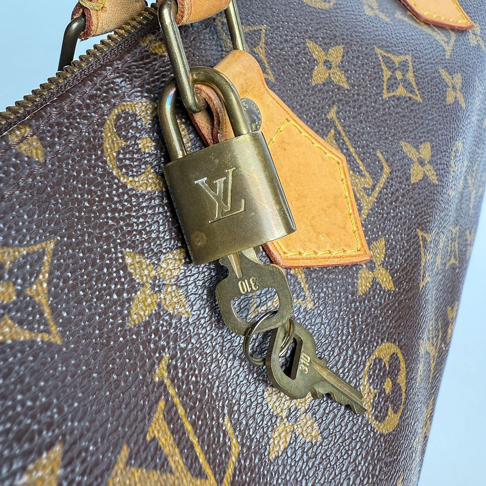 ภาพขนาดย่อ: Louis Vuitton Speedy 30 Monogram Bag