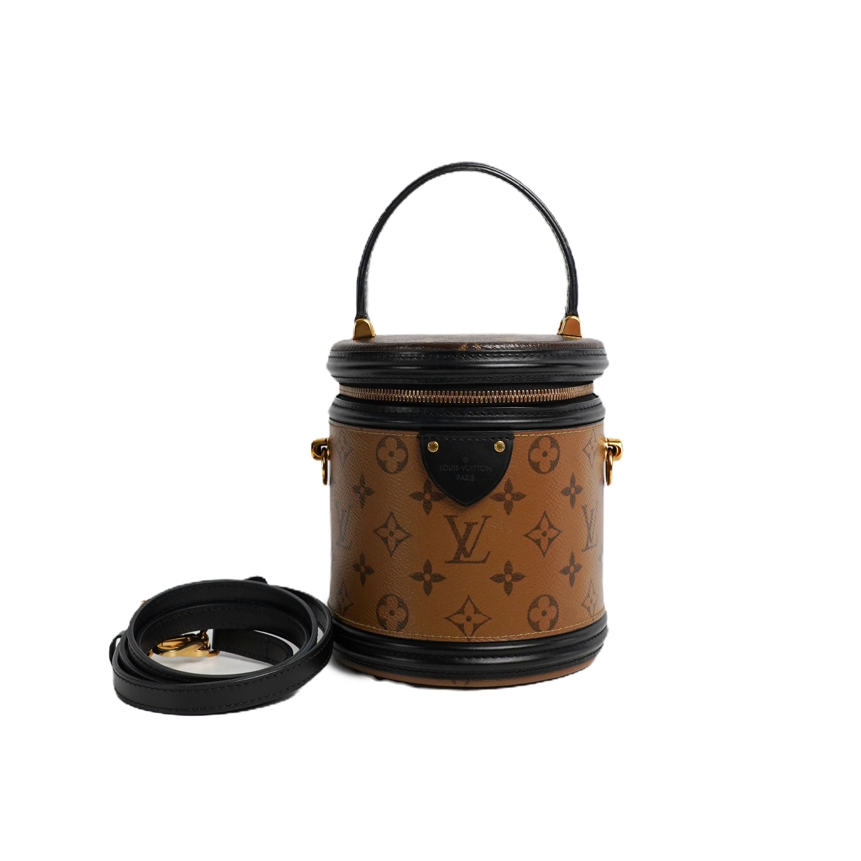 Louis Vuitton  Cannes Monogram Reverse Bag