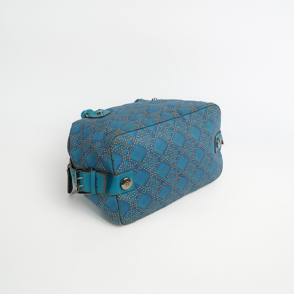 ภาพขนาดย่อ: Christian Dior  Cannage Printed Canvas Bag