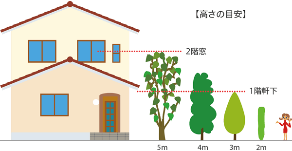 庭木の高さの目安