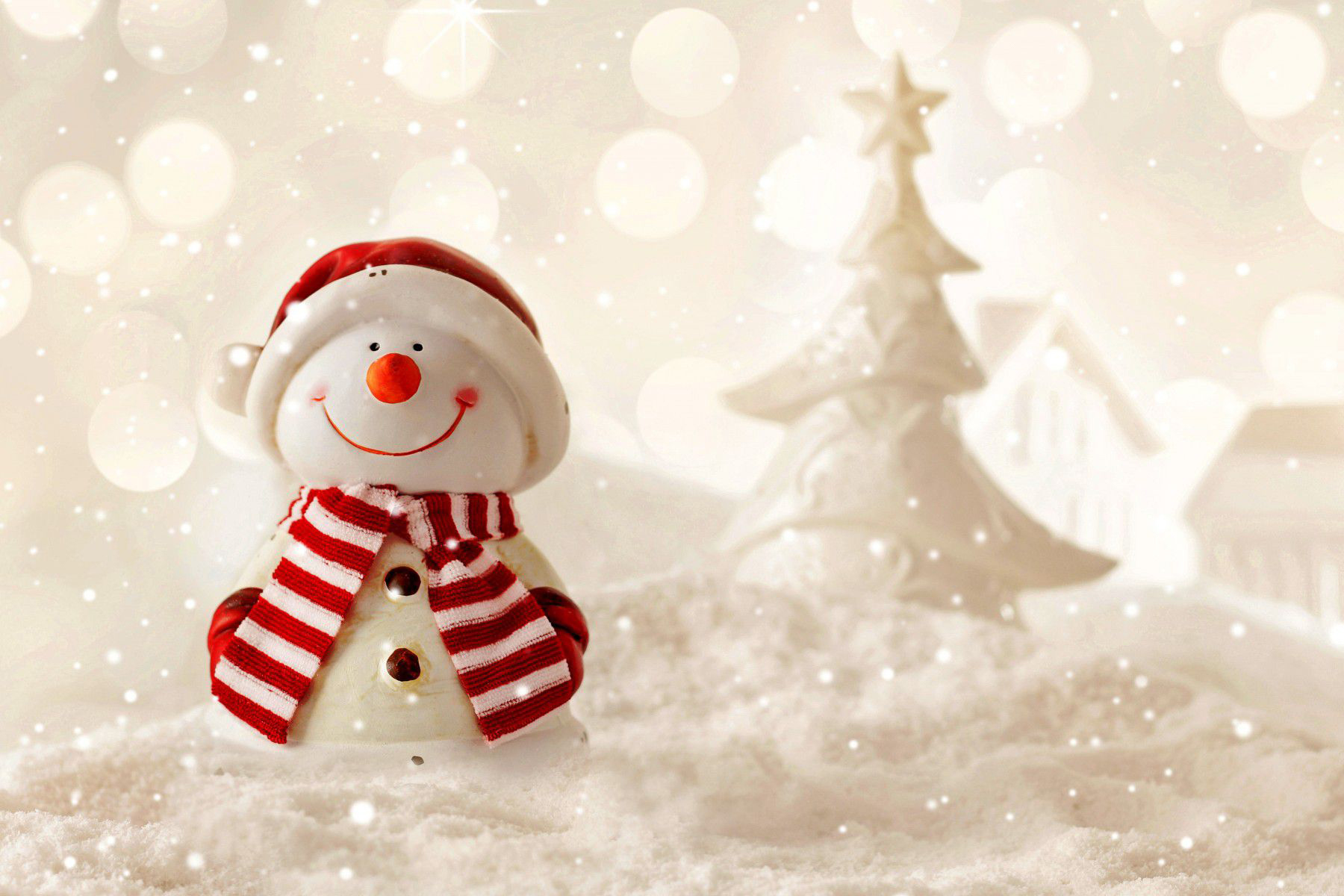 Winter Collection #2