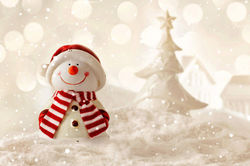 Winter Collection #2