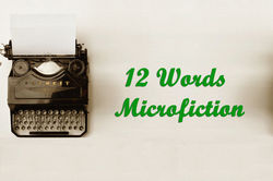12 Words Microfiction Collection