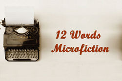 12 Words Microfiction Collection