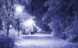 Winter Collection #1