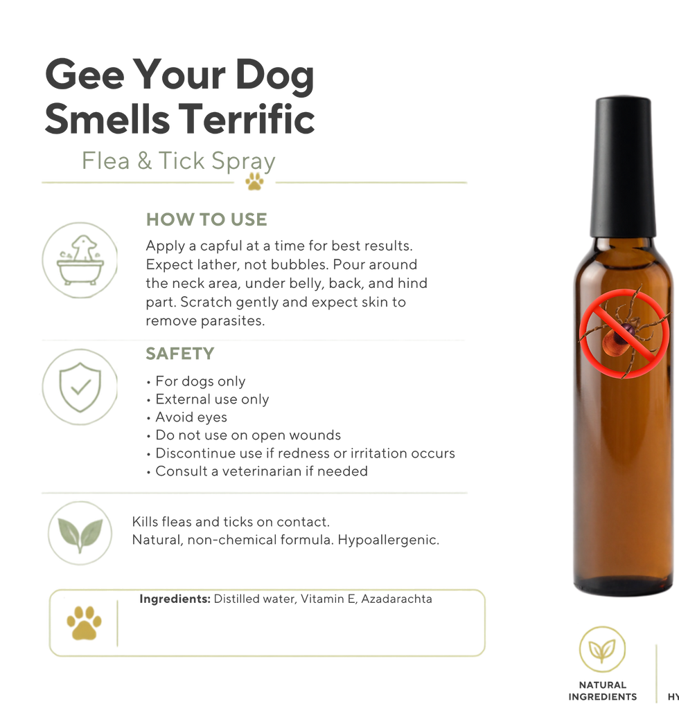 Thumbnail: Natural Flea Spray