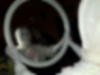 image00013.jpeg