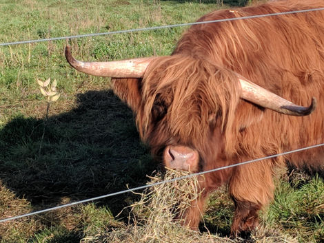 What is a Sanctuary?