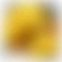 Gold Military Braid Trim