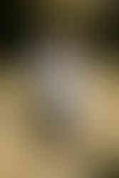 Sunset Portraits at The Old Mill Aldermaston