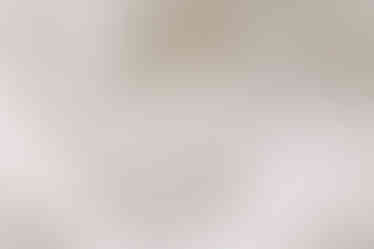 butterfly wedding shoes